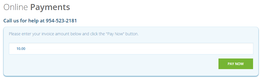 A website screen displays an online payments section with a field labeled "Please enter your invoice amount below" filled with "$10.00" and a "Pay Now" button beside it.