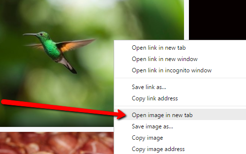 A green hummingbird hovers mid-air, next to a computer screen displaying a right-click context menu highlighting the "Open image in new tab" option—an elegant reminder to enhance your WordPress blog content with images.