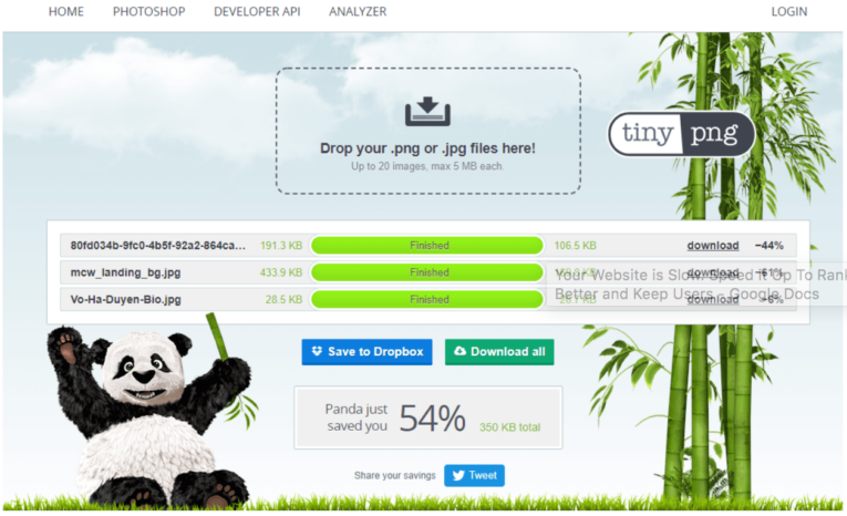 Screenshot of the TinyPNG website showing image compression results. A panda sits on the left, three images are compressed with size reductions, and options to save to Dropbox or download all files are shown. Speed it Up To Rank Better and Keep Users by optimizing your site's image sizes.