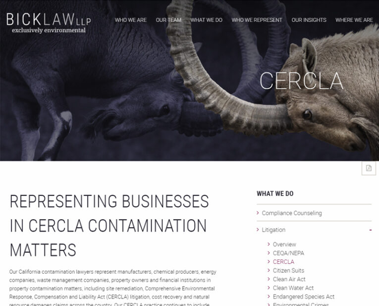 PS Website Photo