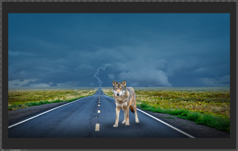 A wolf stands alone on an empty road stretching into a stormy horizon with lightning in the background.