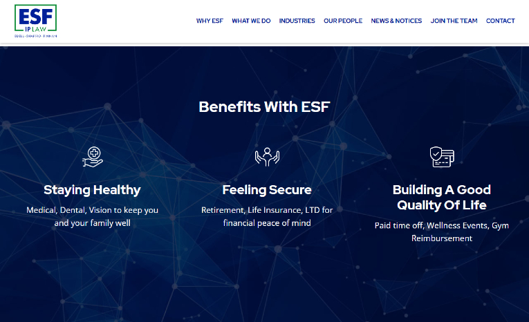 esfip's careers page