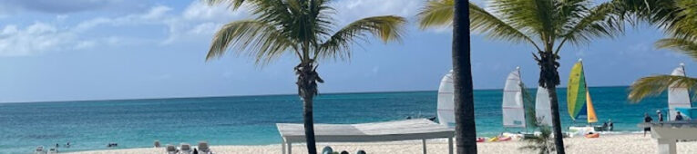 A beach scene with palm trees, white sand, and several sailboats on the turquoise water. People are relaxing on sun loungers under umbrellas.