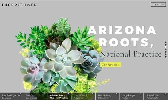 Website homepage featuring a variety of succulents. Text reads "Arizona Roots, National Practice" with a button labeled "Our Services." Title bar includes "ThorpeShwer" and navigation menu.
