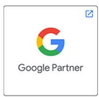 Google Partner logo with a multicolored "G" above the text "Google Partner" in black.