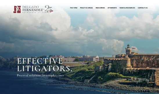 Screenshot of law firm's website with a coastal landscape background and text: Delgado Fernandez & P. Attorneys at Law - Effective Litigators. Practical solutions for complex cases.