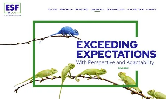 Website homepage of ESF IP Law with the slogan "Exceeding Expectations with Perspective and Adaptability." Image shows a blue chameleon standing out among green ones on branches.