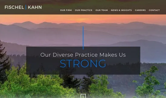 A webpage header for Fischel Kahn with a mountain landscape background. The headline reads, "Our Diverse Practice Makes Us Strong." The navigation bar includes links to various sections.