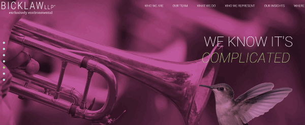 Image shows a trumpet and a hummingbird with a pink overlay and the text "WE KNOW IT'S COMPLICATED" next to the BICKLAW LLP logo and navigation menu at the top.