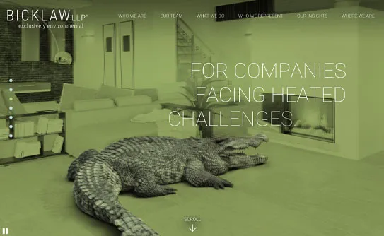 Image of a modern office lobby with a large alligator lying on the floor. The text overlay reads, "For Companies Facing Heated Challenges.