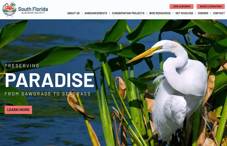 A white egret stands among green plants in a wetland. Text reads: "South Florida Audubon Society - Preserving Paradise from Sawgrass to Seagrass." Buttons for "Learn More," "Join Audubon," and "Make a Donation" are visible. South Florida Audubon Society Launches New PaperStreet Website.
