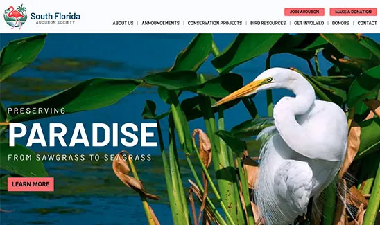 White egret stands among green reeds by water; South Florida Audubon Society website header.