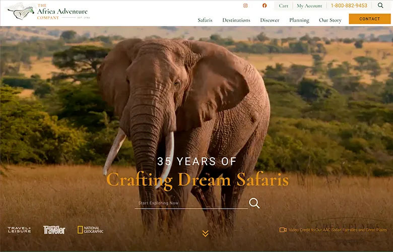 An elephant stands in a grassy savanna with trees in the background under a clear sky.