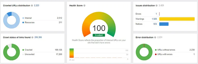 Website audit dashboard showing error, warning, notice counts, and a health score of 100.