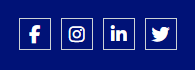 Social media icons