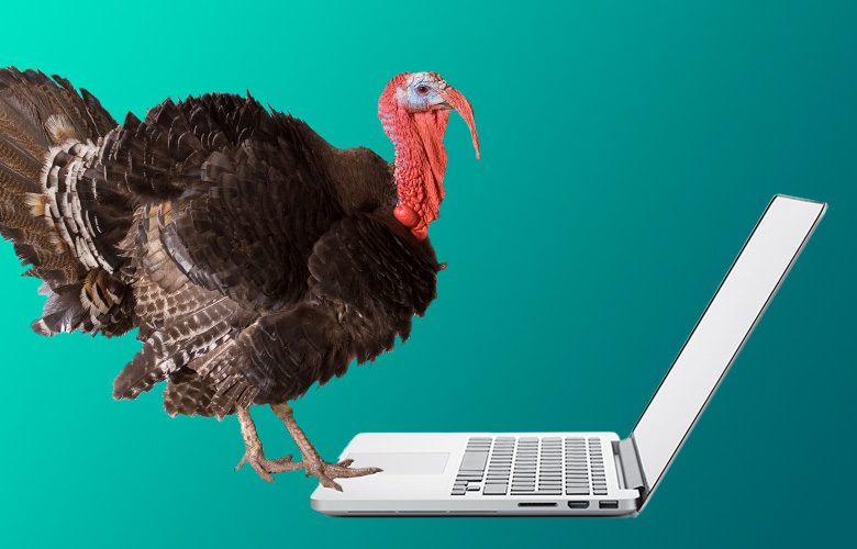 What-Turkeys-Can-Teach-us-About-Internest-Marketing-2026-psfeat.jpg